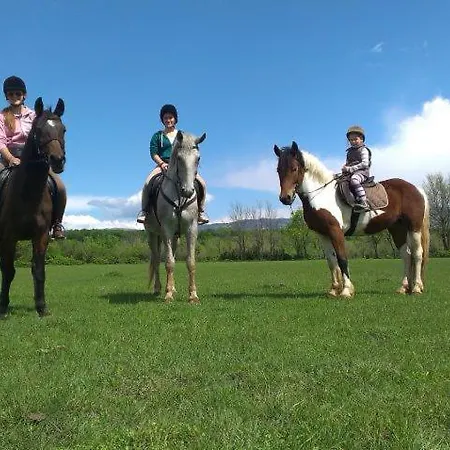 Njivice, Otok Krk, Dora